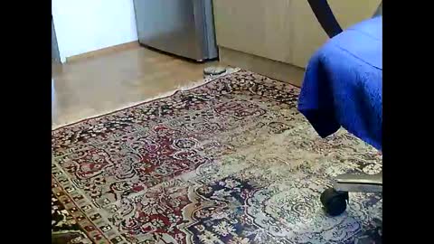 Snapshot of dammerl6 chatting on 12-05-24, 07:16 Dammerl online show from 12-05-24, 07:16