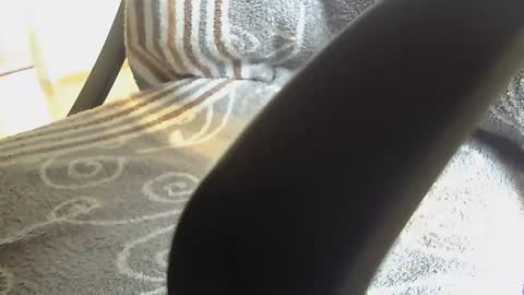 Snapshot of dammerl6 chatting on 01-28-25, 08:25 Dammerl online show from 01-28-25, 08:25