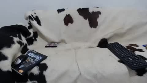 dan_jonson15 online show from 11-27-25, 06:43