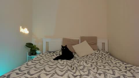 Snapshot of danabananaa chatting on 12-01-25, 10:15 Dana online show from 12-01-25, 10:15