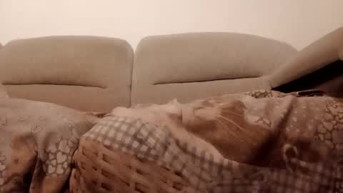 Snapshot of dani225812 chatting on 11-15-25, 07:21 Dani225812 online show from 11-15-25, 07:21