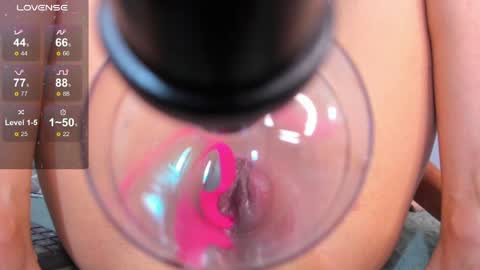 DANIA online show from 05-13-26, 04:10