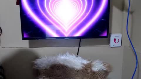 Snapshot of danica_wild chatting on 05-15-26, 11:45 Danica online show from 05-15-26, 11:45