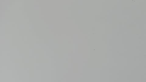 Snapshot of daniel_kingxxx chatting on 03-02-26, 12:34 daniel_kingxxx online show from 03-02-26, 12:34