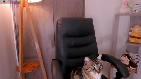 Snapshot of daniellerose_ chatting on 11-02-25, 08:22 Danielle Rose online show from 11-02-25, 08:22