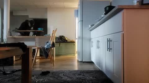 Snapshot of danimal5000 chatting on 11-12-25, 04:18 danimal5000 online show from 11-12-25, 04:18