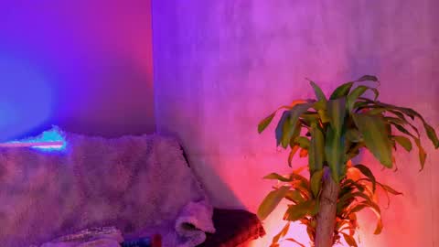 Snapshot of danita_veelz chatting on 06-05-26, 10:37 danita_veelz online show from 06-05-26, 10:37