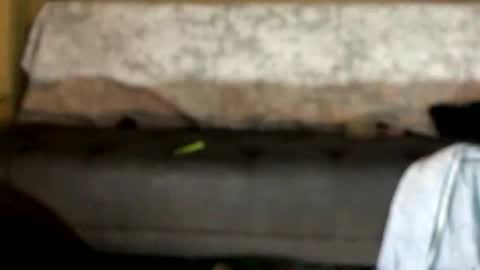 Snapshot of dankshepp chatting on 10-12-25, 01:04 dandeb online show from 10-12-25, 01:04