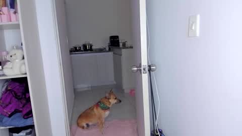 Danna Rhodes online show from 11-30-25, 06:17