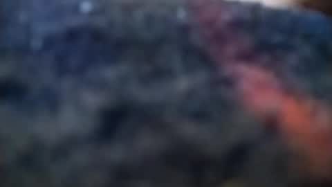 dannowisc online show from 02-20-26, 04:09