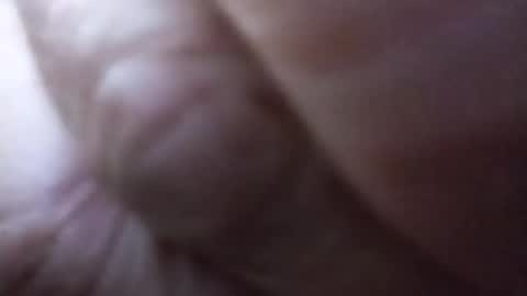 dannowisc online show from 06-27-26, 03:06