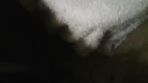 Snapshot of dannyb618 chatting on 10-30-25, 09:22 Danielle online show from 10-30-25, 09:22