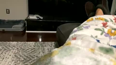 dannyboy621 online show from 10-30-25, 09:33