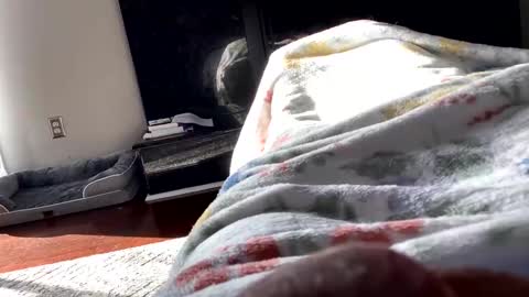 dannyboy621 online show from 11-06-25, 01:56