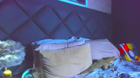 Snapshot of dany_dryy chatting on 11-28-25, 04:42 Dany online show from 11-28-25, 04:42