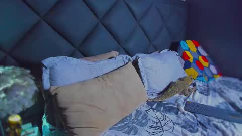 Snapshot of dany_dryy chatting on 01-17-26, 06:11 Dany online show from 01-17-26, 06:11