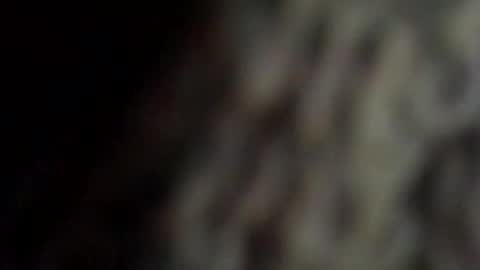 danys69 online show from 10-11-25, 08:18