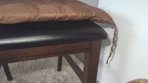 dapppper online show from 05-19-26, 09:37