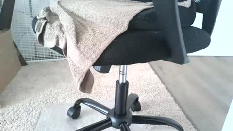 dapppper online show from 06-13-26, 12:14