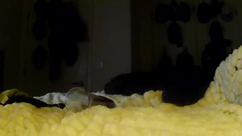 Snapshot of darichrichardson chatting on 01-13-26, 06:08 Betty and Robert Play time online show from 01-13-26, 06:08