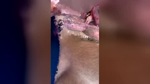 Snapshot of darklight69s25 chatting on 04-12-26, 03:28 darklight69s25 online show from 04-12-26, 03:28