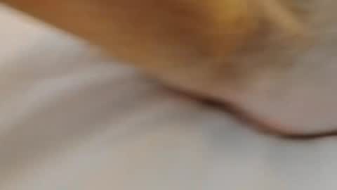 Snapshot of david1982yesyes chatting on 03-02-26, 02:02 david1982yesyes online show from 03-02-26, 02:02