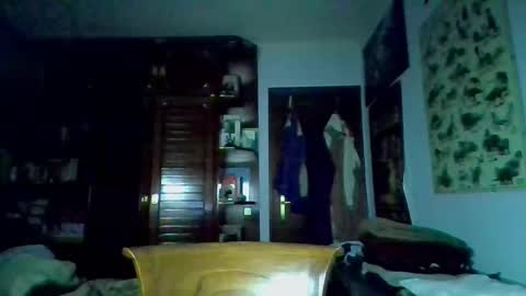 david33333333 online show from 03-09-25, 04:33