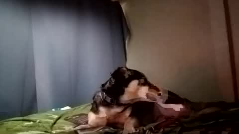 Juice cock online show from 12-29-24, 09:30