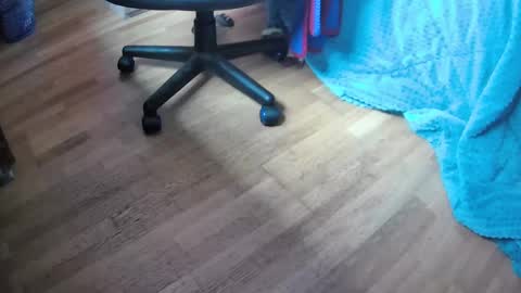 Snapshot of davidlg00 chatting on 02-12-25, 11:51 Hugo online show from 02-12-25, 11:51