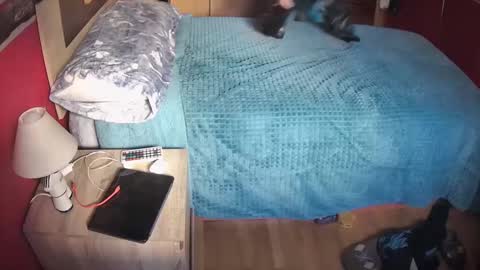 Snapshot of davidlg00 chatting on 02-20-25, 11:09 Hugo online show from 02-20-25, 11:09