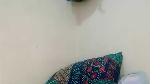 Snapshot of davidrocero chatting on 03-11-26, 04:24 davidrocero online show from 03-11-26, 04:24