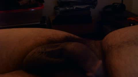 dball95 online show from 06-17-26, 12:02