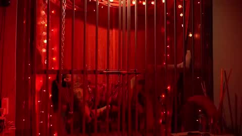 Snapshot of ddevourskitty chatting on 02-15-26, 05:37 D Devours Kitty online show from 02-15-26, 05:37