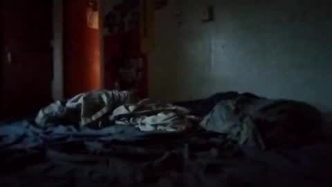 Snapshot of de396 chatting on 04-01-26, 11:33 Dan online show from 04-01-26, 11:33