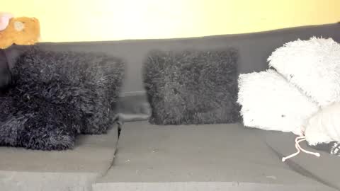 deli_la online show from 03-28-26, 09:03