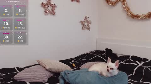 Snapshot of demiamour chatting on 12-25-24, 10:50 Demi. not your babybabebb and other shit online show from 12-25-24, 10:50