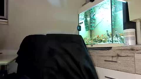 Denise and Brad online show from 04-18-26, 07:58