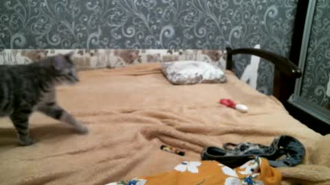 DennisXCarol online show from 02-18-25, 05:31