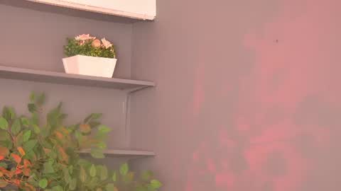 Desimissy online show from 07-13-26, 04:15