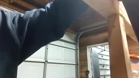 desturbingdetale699 online show from 12-22-24, 09:00