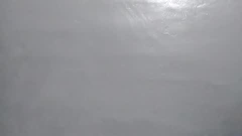 desturbingdetale699 online show from 01-10-25, 05:26