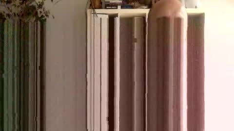 ooo  Devil Dark  ooo online show from 12-12-24, 11:18