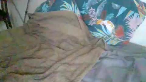 dexterwatchme online show from 01-15-26, 11:15