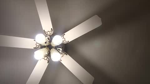 diamonde_steele online show from 12-12-24, 01:53