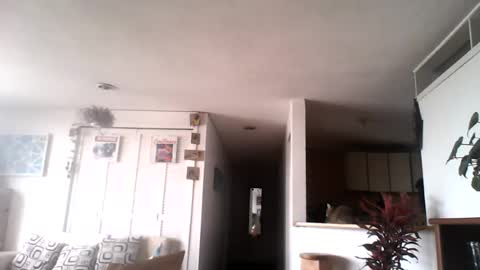 diego_incubo_ii online show from 07-15-26, 04:34