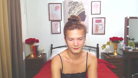 Snapshot of diense17 chatting on 12-12-24, 09:08 Dennesse online show from 12-12-24, 09:08