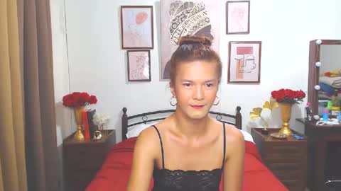 Snapshot of diense17 chatting on 12-14-24, 01:06 Dennesse online show from 12-14-24, 01:06