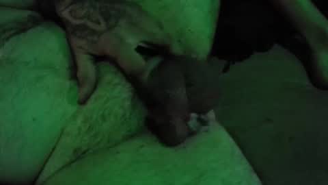 dikkdixon online show from 02-28-26, 03:57