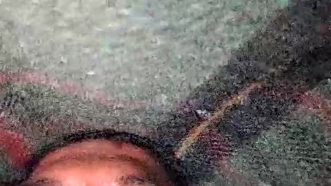 dyno online show from 12-19-25, 05:31