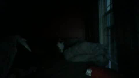 Snapshot of dixhexus chatting on 01-04-25, 12:27 Chris Williams online show from 01-04-25, 12:27